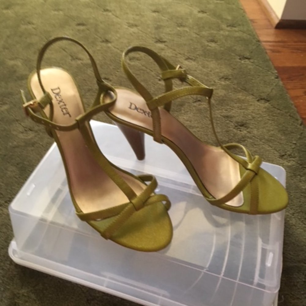 Dexter Spring Green strappy heels 8